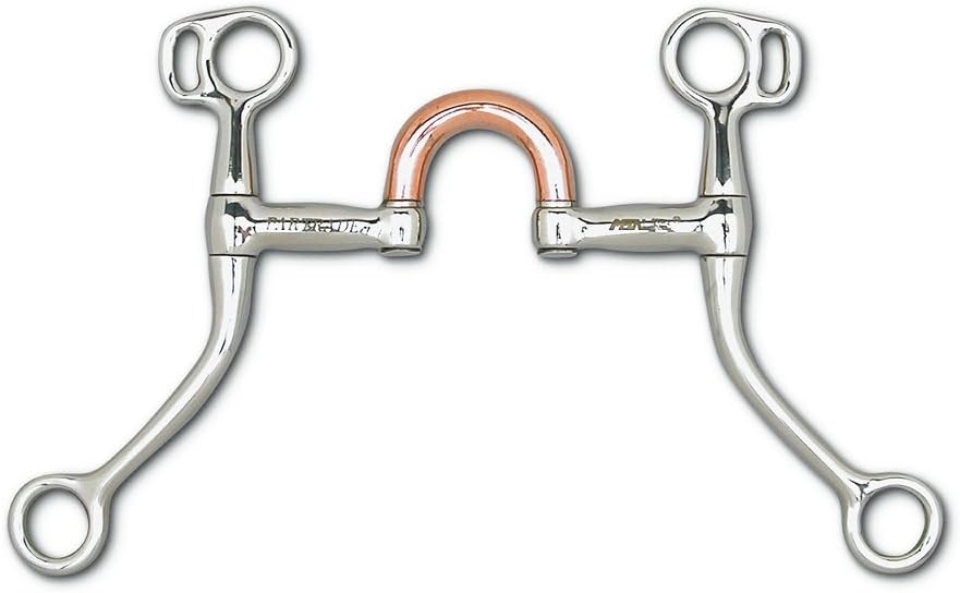 名馬 アクリルパネル ステイゴールド StayGold 競馬 競走馬 ステイ